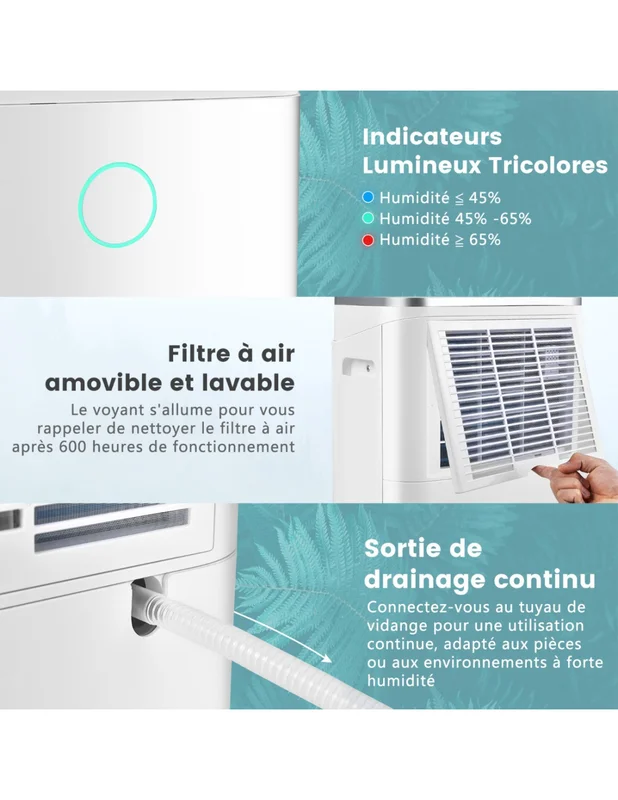 cielterre-commerce2996877