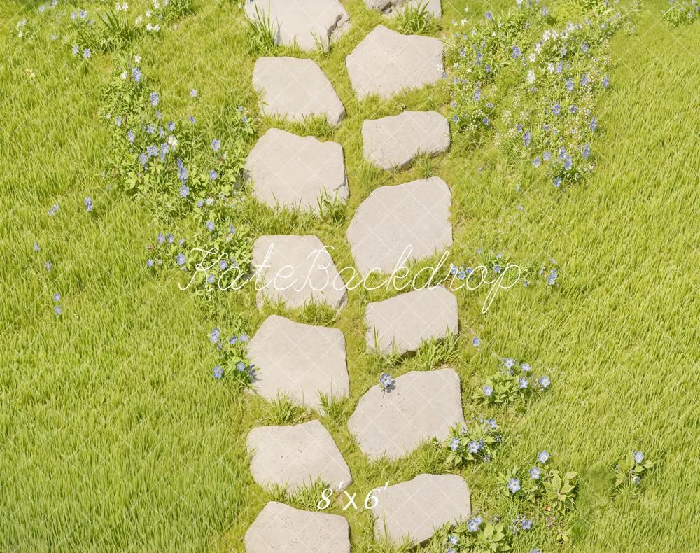 katebackdrop2730412