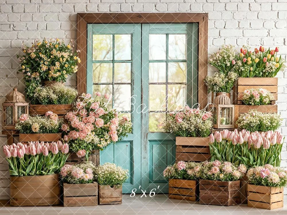 katebackdrop2733160