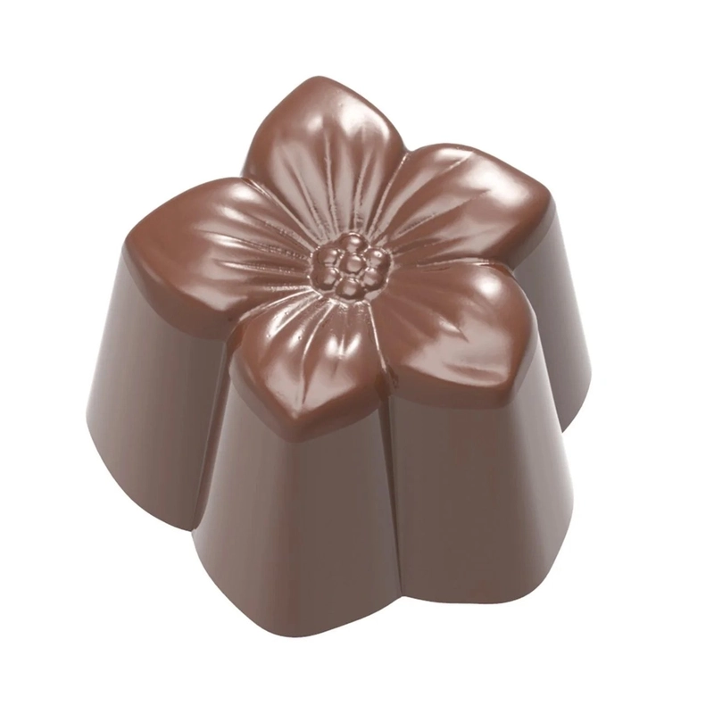 kiwistore113461