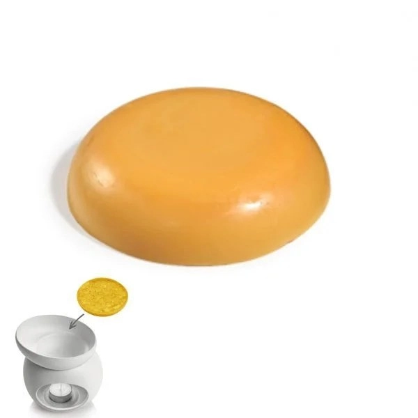 kiwistore195567