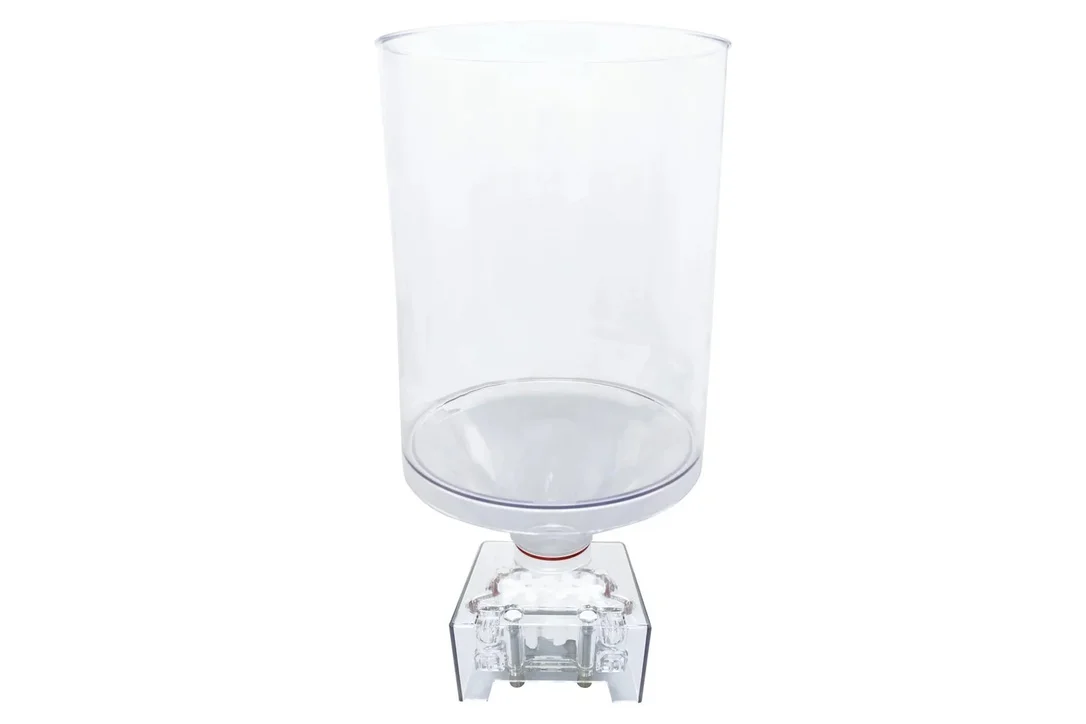 kiwistore3386680