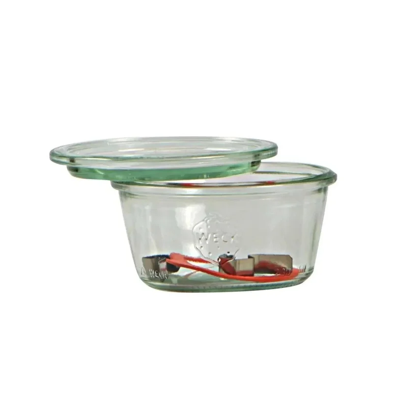 kiwistore3503770