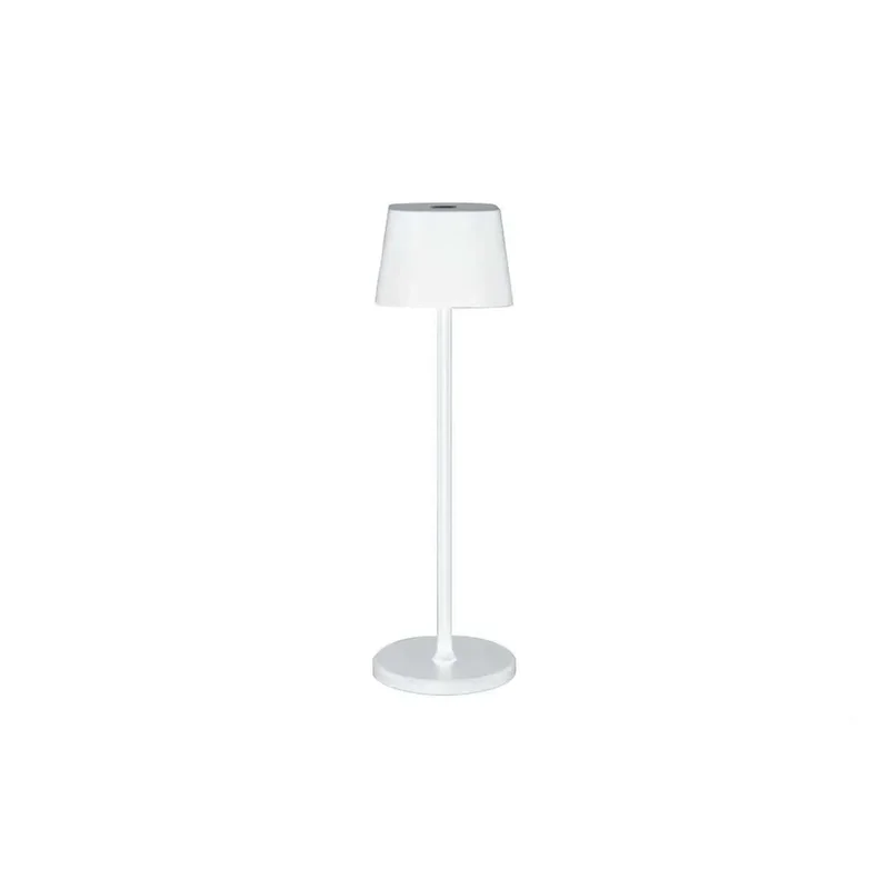 kiwistore3631562