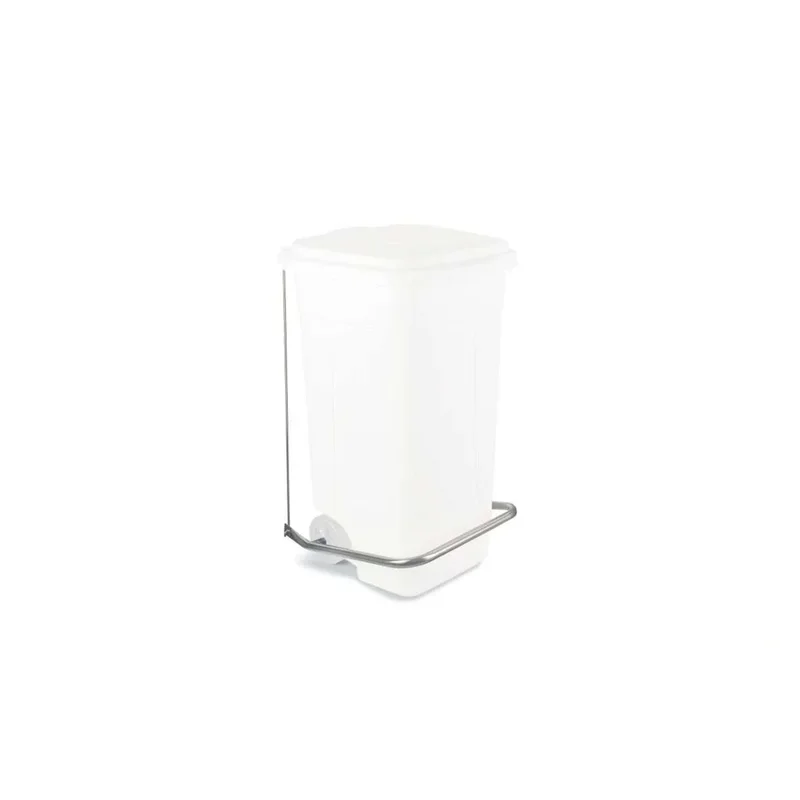 kiwistore3647950