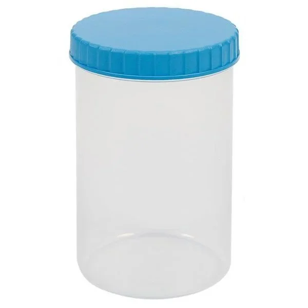 kiwistore3785953
