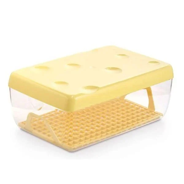 kiwistore3789534