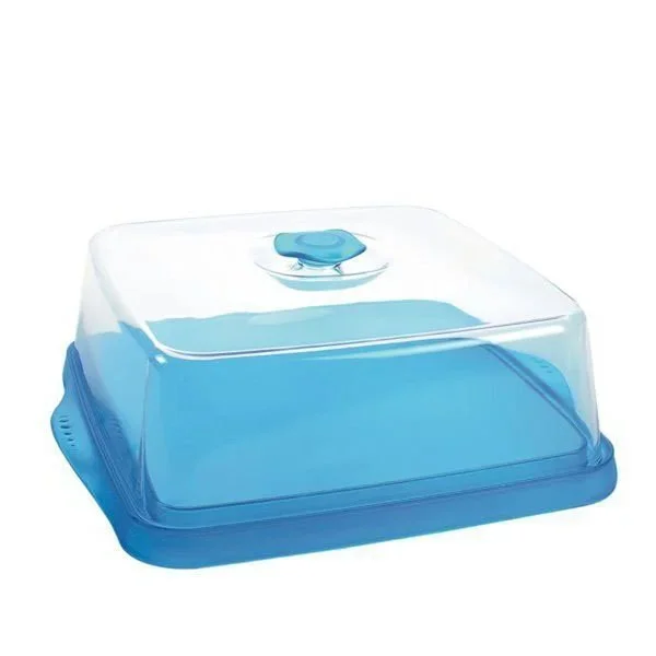 kiwistore3789773