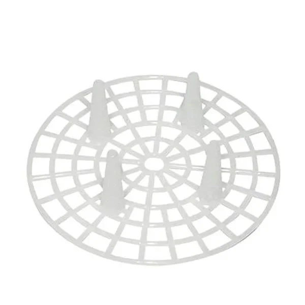 kiwistore3795099