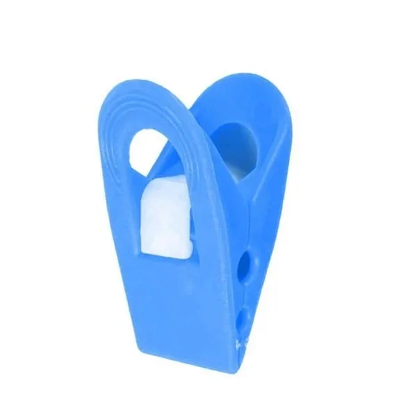 kiwistore3795792