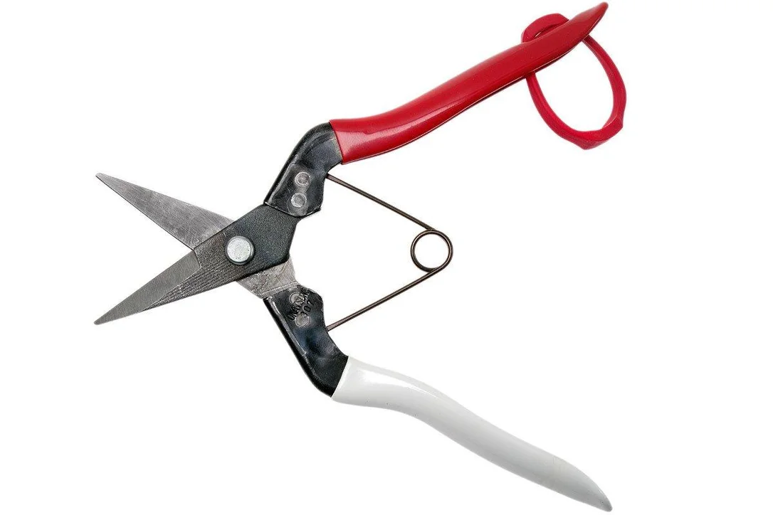knivesandtools3874899